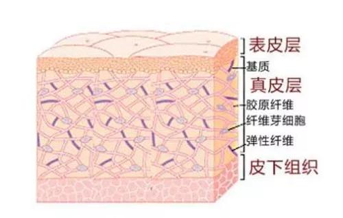 减肥防止皮肤松弛的办法,减肥后皮肤变松弛怎么办