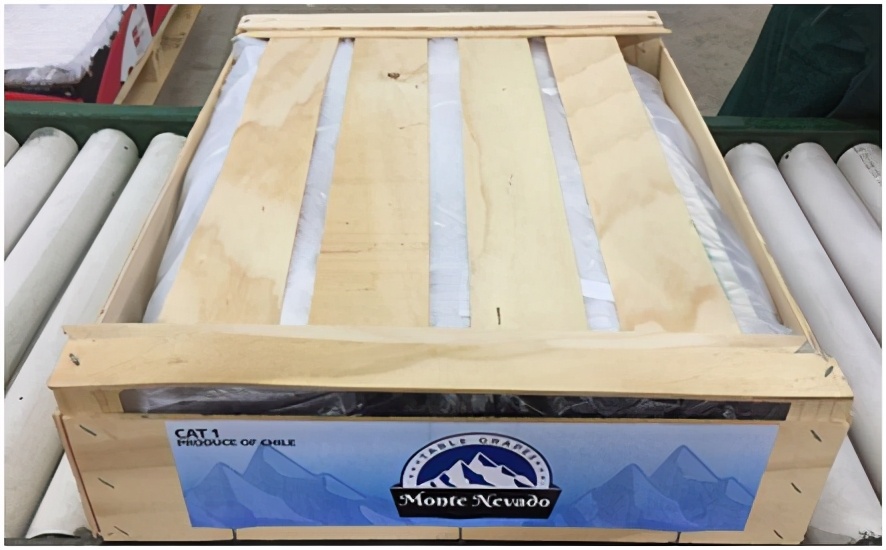 提子品种和介绍 (提子的品种都有哪些)