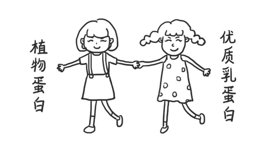 高端轻酪乳风味酸奶,正宗法式经典酸奶