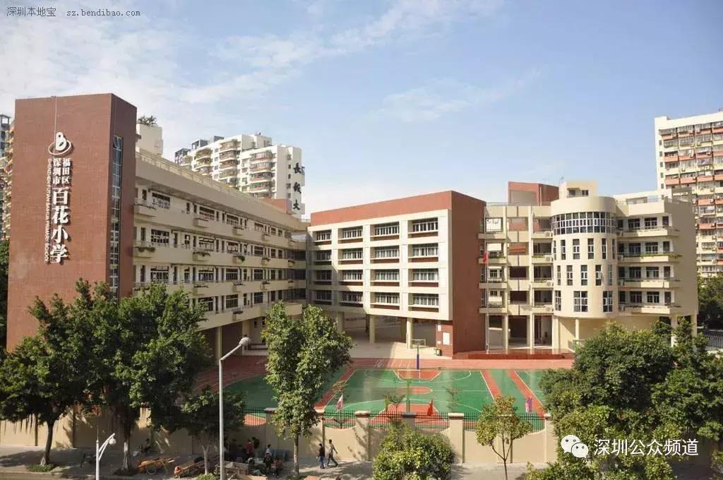 深圳贵族小学,深圳贵族小学排名前十名