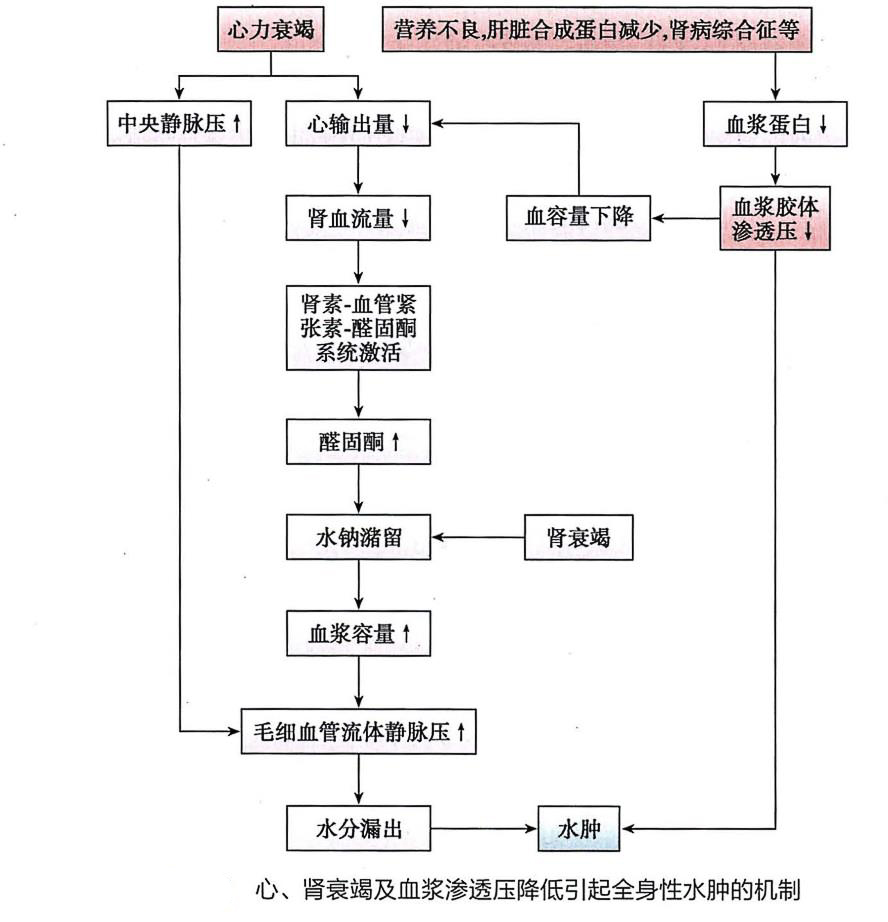 老人输液整个手脚浮肿怎么回事,老人输液水肿