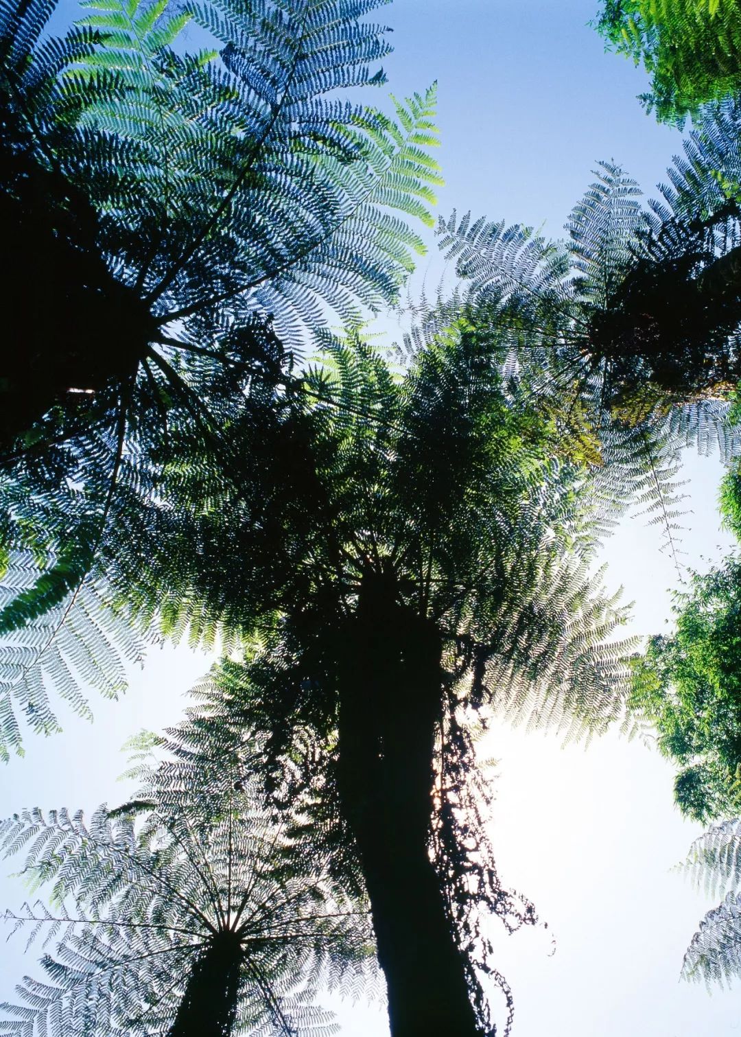 不可思议的多彩贵州,多彩贵州有几个系列