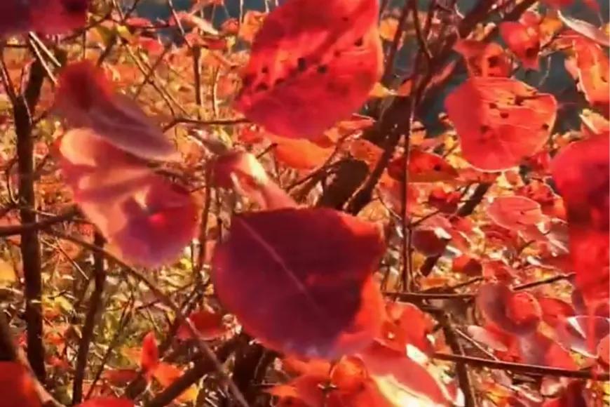 想去郑州玩推荐几个地方和路线,想在周边走走