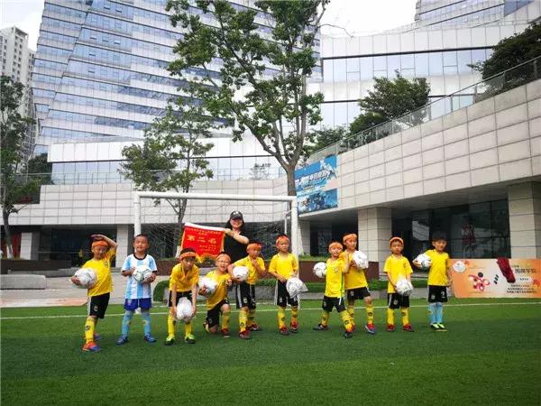 飞扬足球,飞扬足球预测