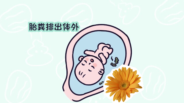 孕后期怎样保证羊水清澈,高位破水剖腹产羊水清澈
