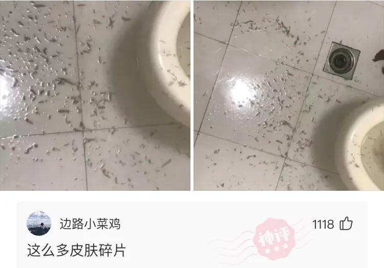 幽默搞笑神评,沙雕搞笑神评