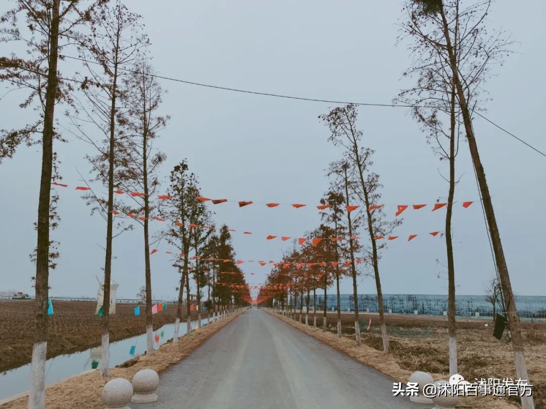 沭阳23个重大项目是哪些,沭阳重点发展的4个城镇