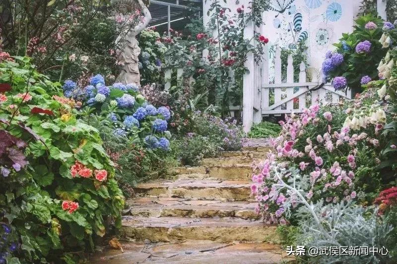 成都旅游景点免费门票,成都周边好玩的地方景点免费