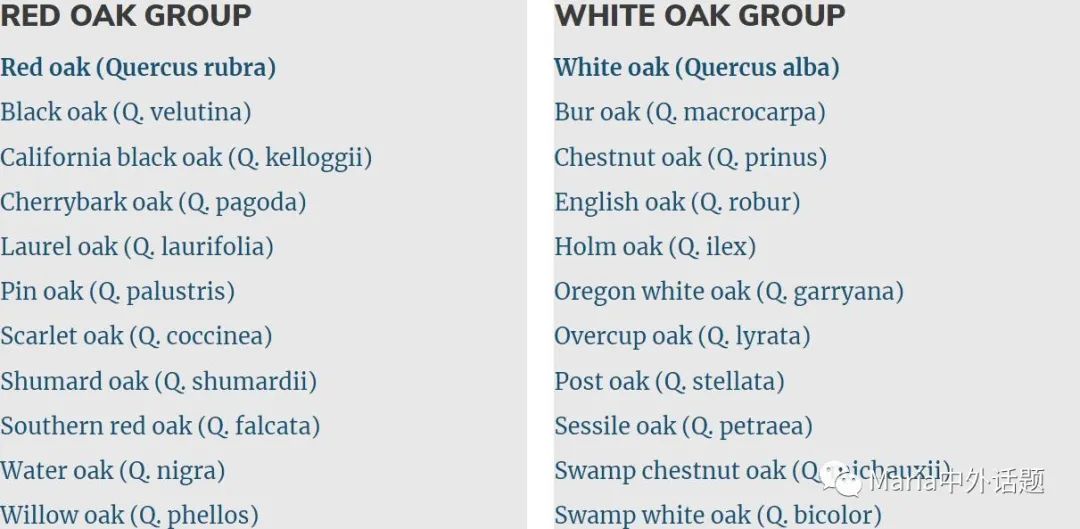 缇庡浗姗℃湪浜у尯,缇庡浗鍖楅儴姗℃湪