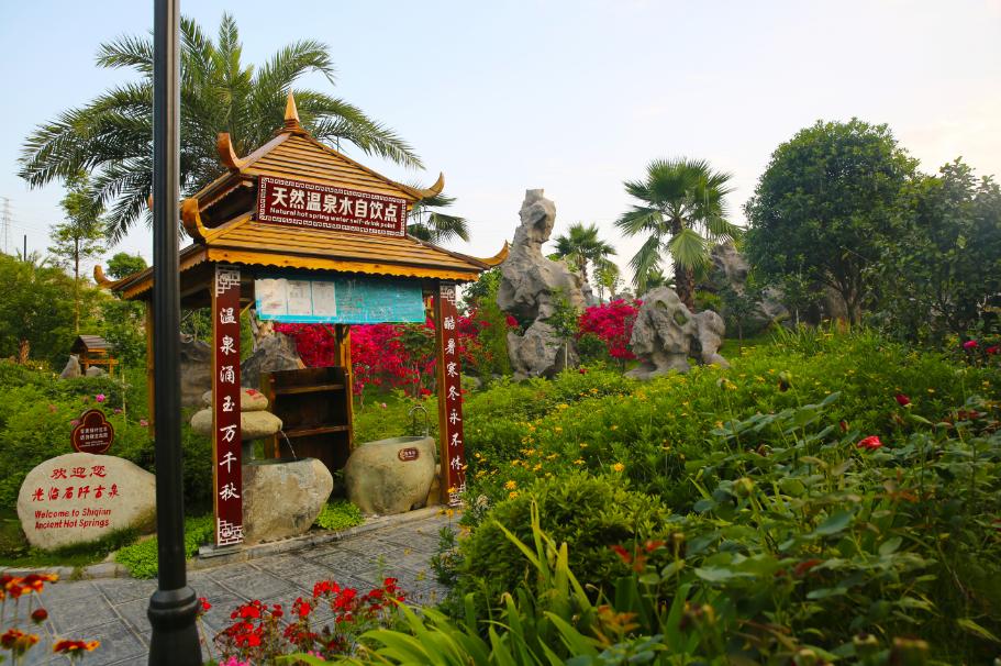 仙人街景区赏花攻略,吉尼斯打卡仙人街