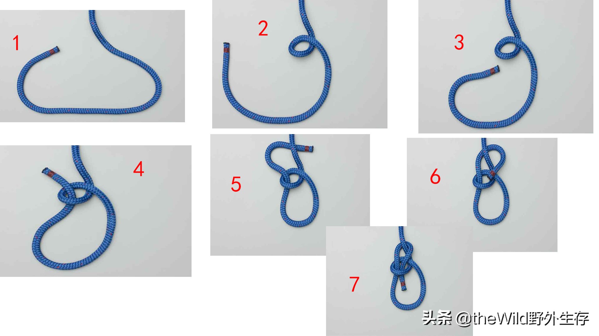 户外作业学会这几种绳结就够用了,户外安全绳结打法视频
