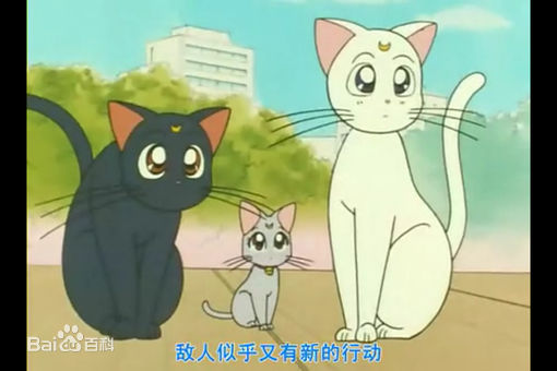 十大名猫动漫,动漫排行榜前十名京剧猫