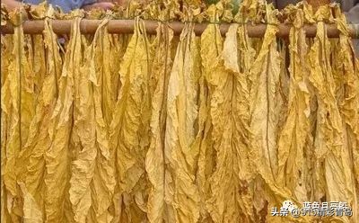 精彩青岛从崂山烟厂到青岛双蝶集团股份有限公司