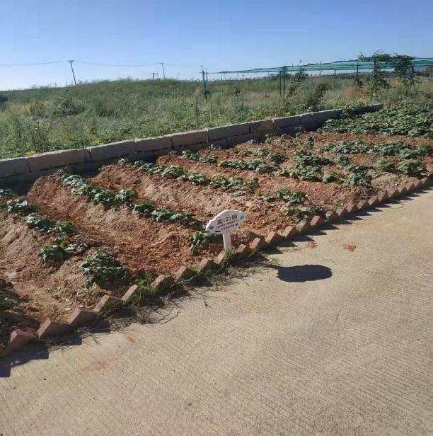 福清古镇推荐,福清旅游景点打卡地推荐