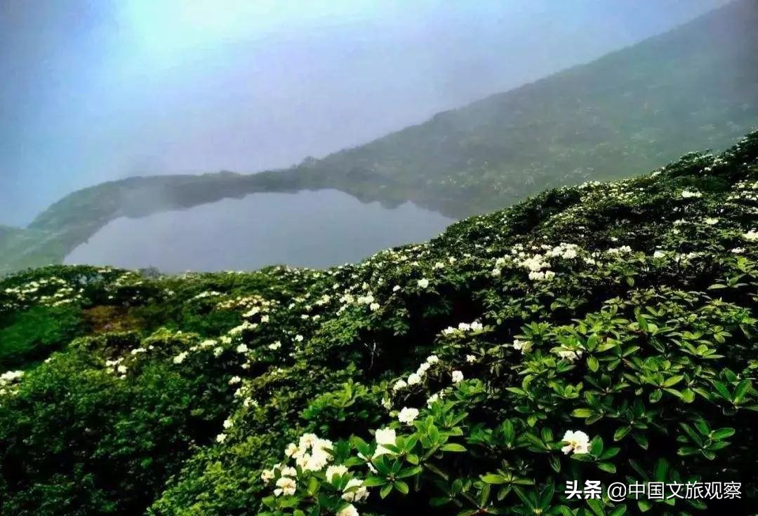 云南又在央视火了！这份云南2019新简历要藏不住了！