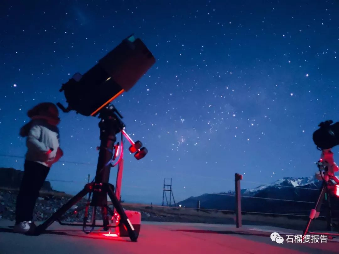 旅行7天,七天游记的视频在线观看全集高清