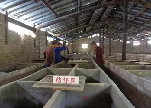 适合穷人的18个创业加盟项目农村,在农村创业投资小见效快的项目