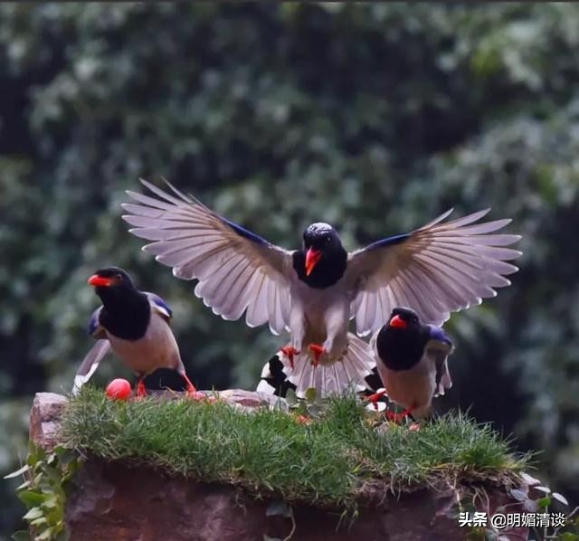 公司内耗严重的人该如何调理,公司内耗内斗严重怎么办