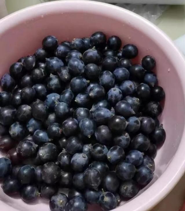 自制葡萄酒的正宗做法,自制葡萄酒需要蒸馏后好喝吗