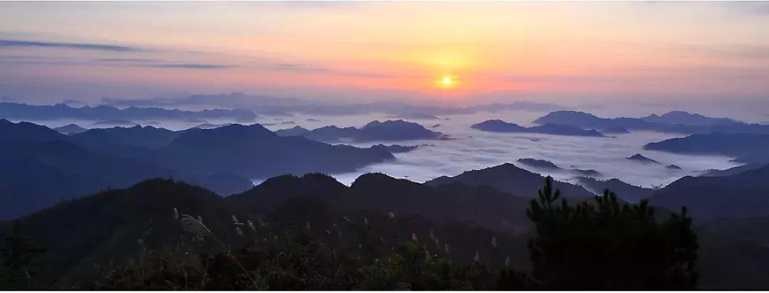 探秘广西巴马长寿之旅,广西巴马长寿探秘之旅