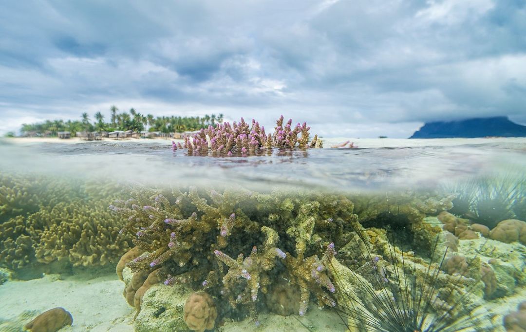 去马尔代夫玩哪个岛最值得推荐,去哪里旅游马尔代夫划算