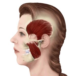 瘦脸针其实副作用挺大的吧,关于瘦脸的知识
