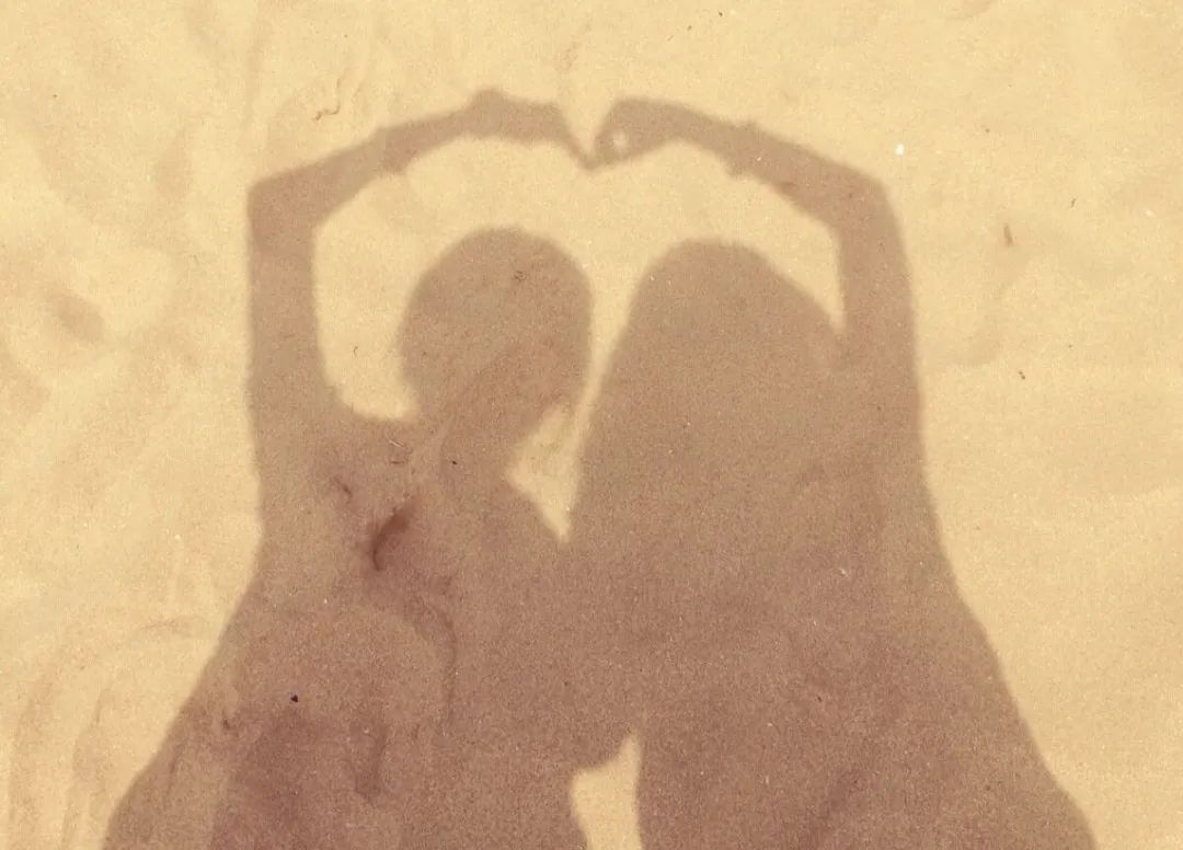 友谊像花小作文,友谊是首优美的歌作文