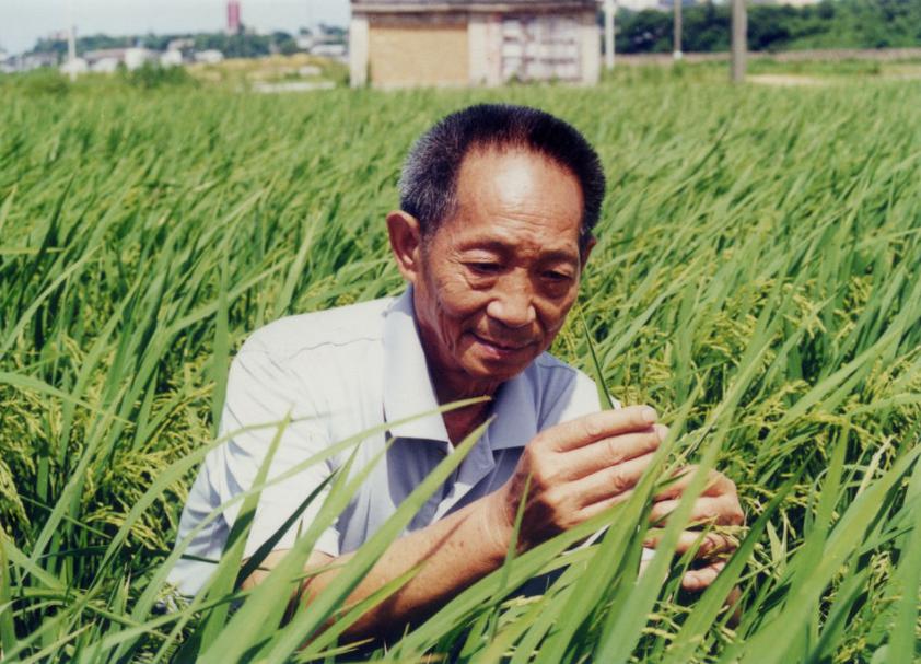 为何中国和印度人口如此多,为什么同样人口大国印度消费低