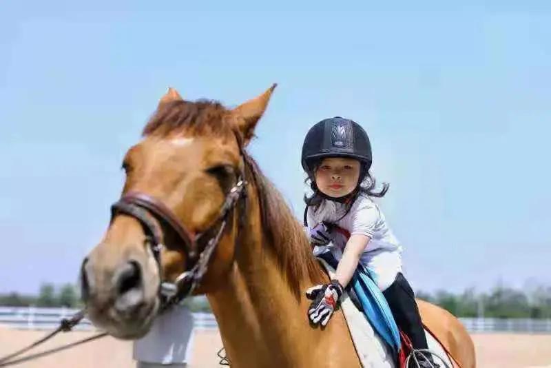 秦皇岛昌黎马术俱乐部,秦皇岛马术训练营