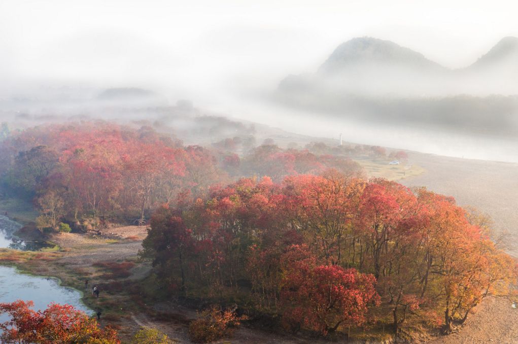秋天最值得去的四个地方,秋天全部的风景