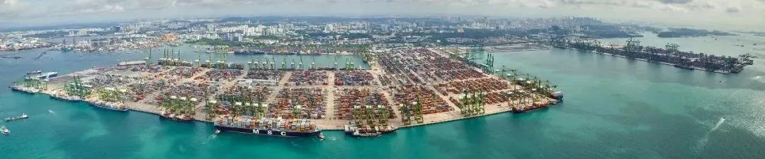 集装箱码头运营商,全球集装箱码头运营商年报