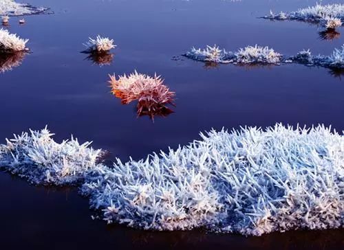 运城盐湖中国死海的舆情,运城盐湖中学排名