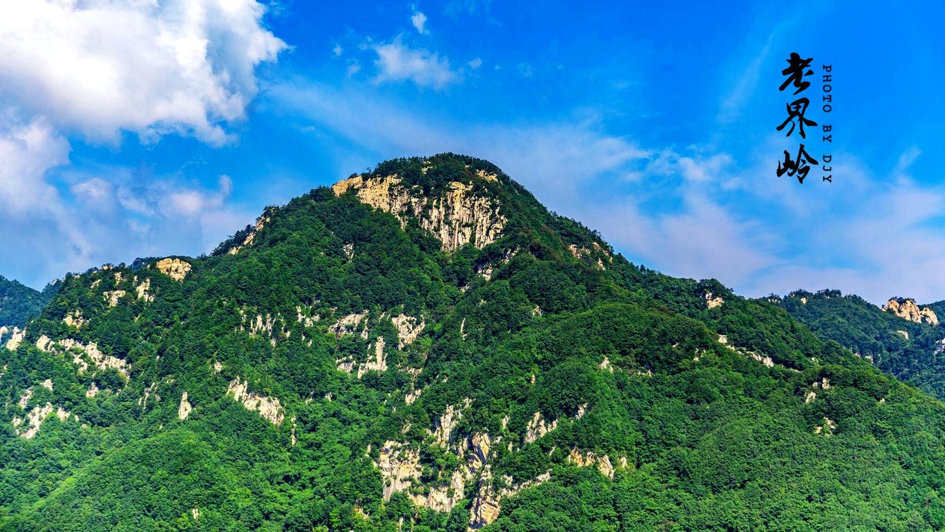 游览老界岭的感悟,河南老界岭景区