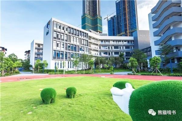 深圳南山小学排名一览表最新,扒一扒深圳知名小学南山篇