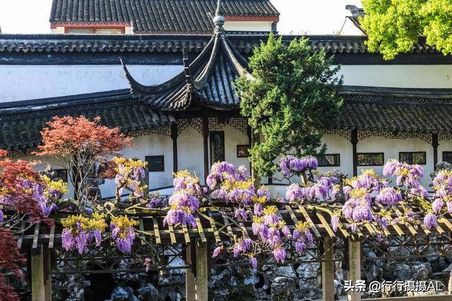 苏州园林狮子林附近,苏州园林之狮子林赏析