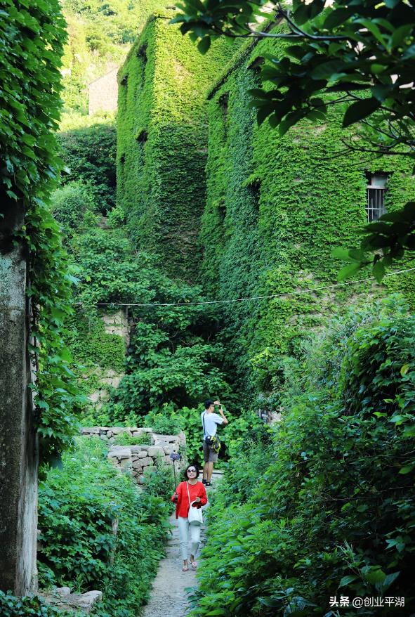 深蓝色海域-枸杞岛，最强自由行攻略