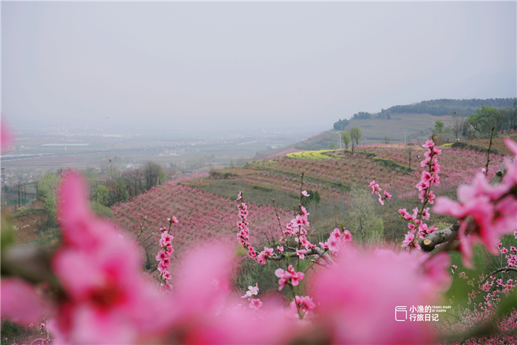 秦岭里的世外桃源,藏在秦岭深处的世外秘境