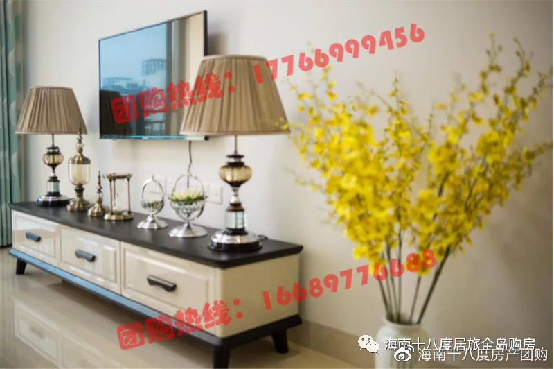 琼海瑞海水城一房一厅出租,琼海瑞海水城69平两房样板房