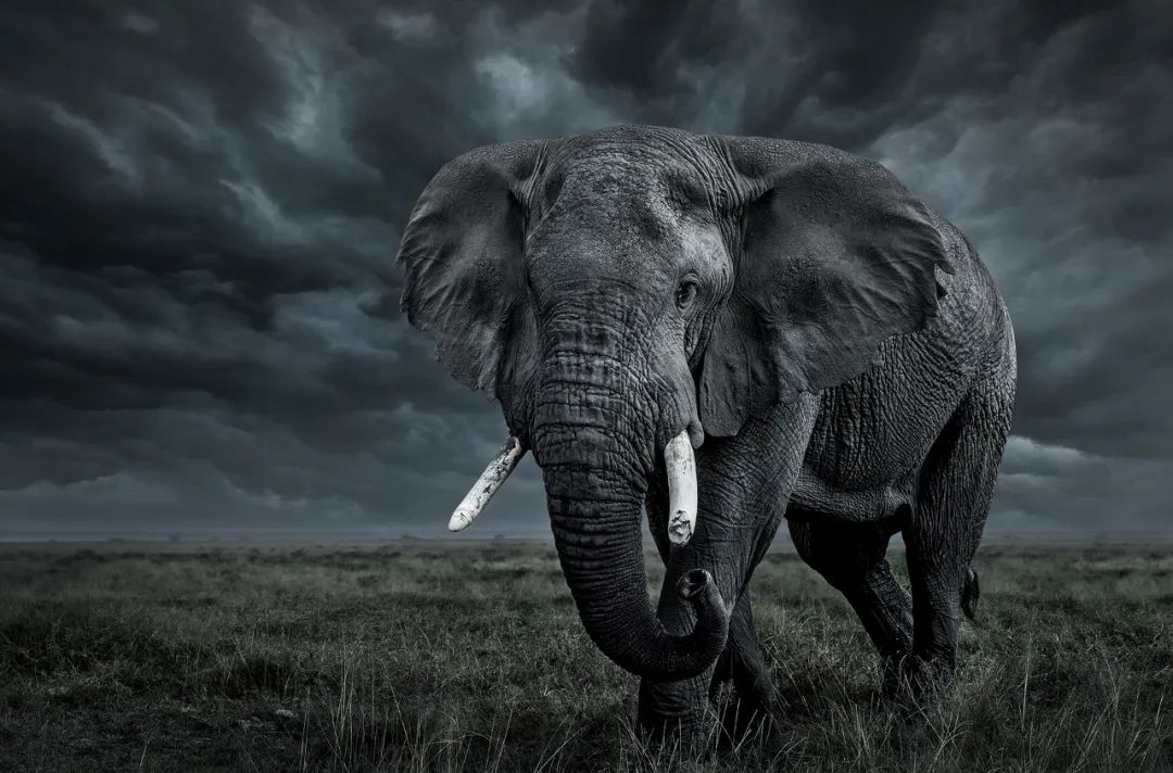 香港第14届全国摄影艺术展,第29届全国摄影艺术展览获奖名单