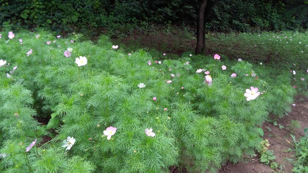 去同仁医院坐几路公交车,去同仁验光配镜中心需要挂号吗