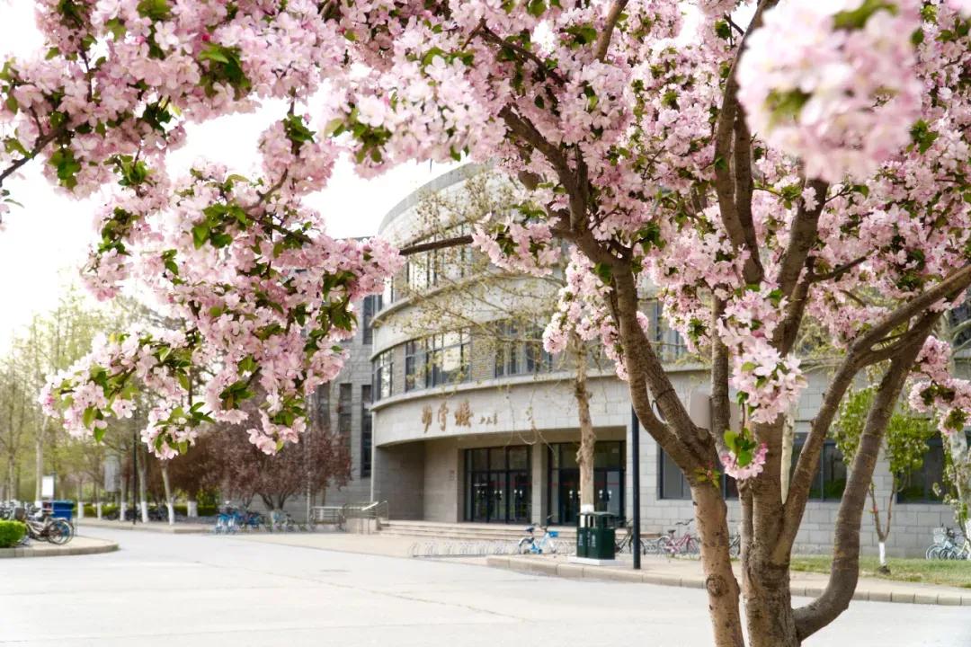 天津市普通高等院校,天津师范高等专科学校