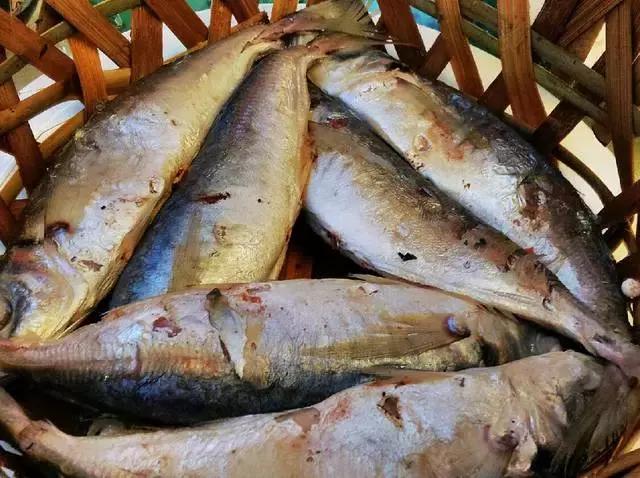 潮汕特产小吃吃货主播,潮汕美食100篇