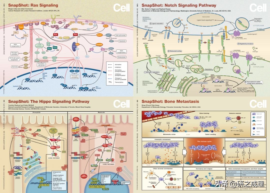 3d晶体科研绘图ppt,用ppt做3d科研图