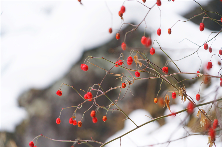 传说中的昆仑瑶池,传说中的瑶池在哪里