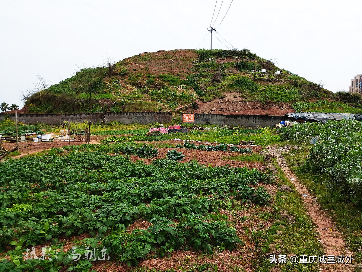 好奇探寻平顶山顶是否“平”，无意发现了渝中区与沙坪坝区的界牌