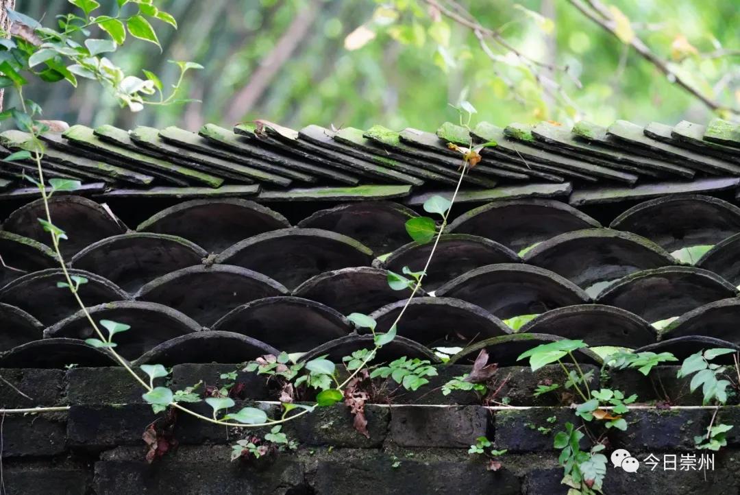 崇州粉蒸肉哪家好吃,崇州味道