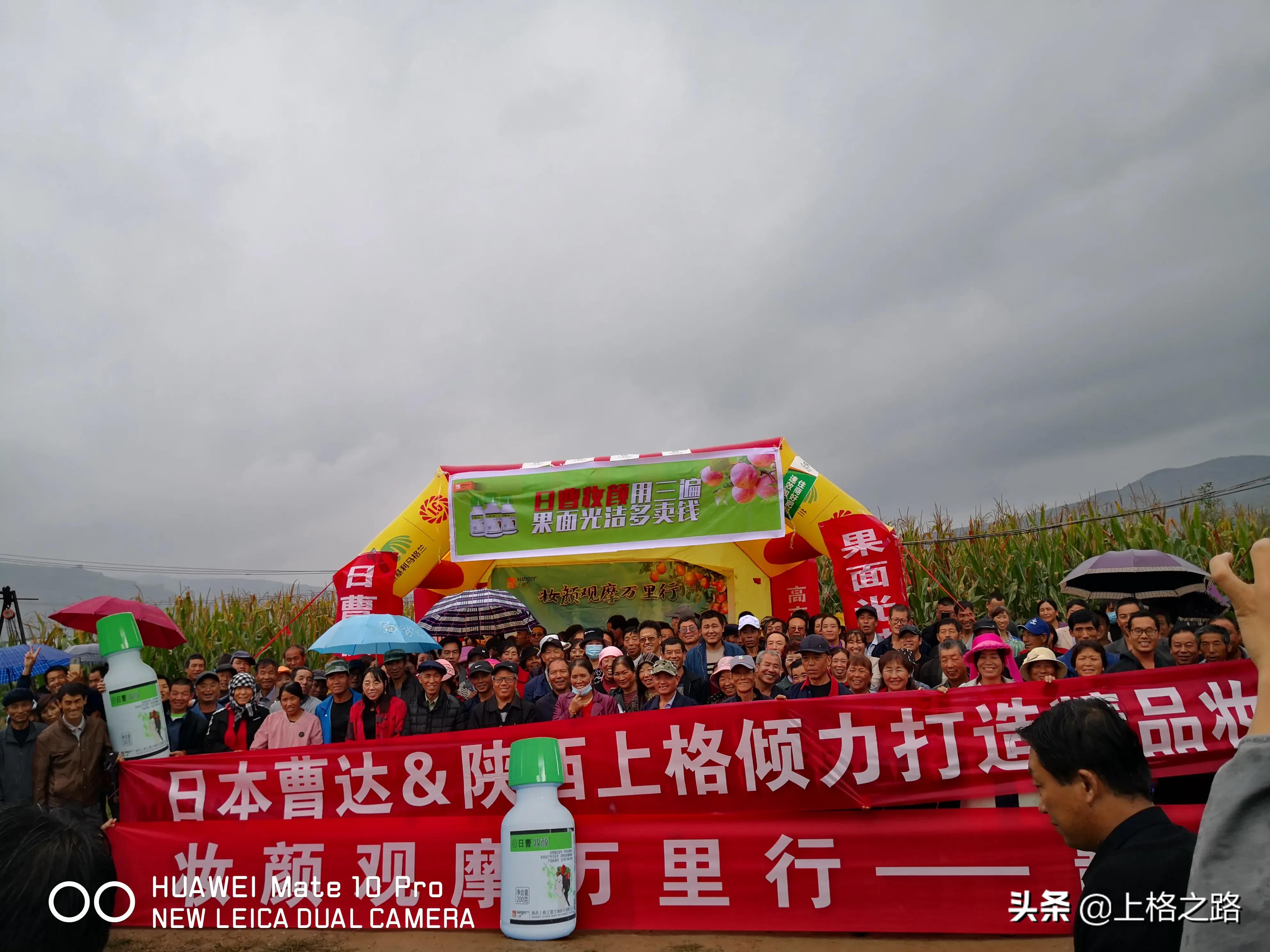 苹果产业的提质增效,平凉市苹果产业发展