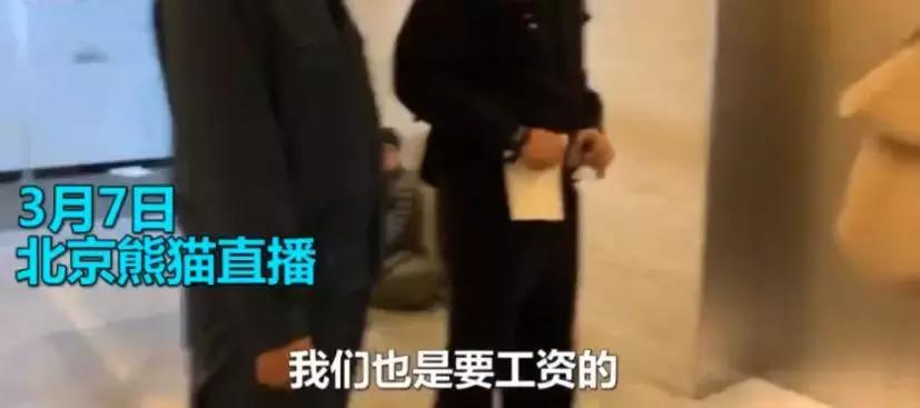 熊猫直播倒闭主播都去了哪,熊猫tv倒闭后的主播都在哪里