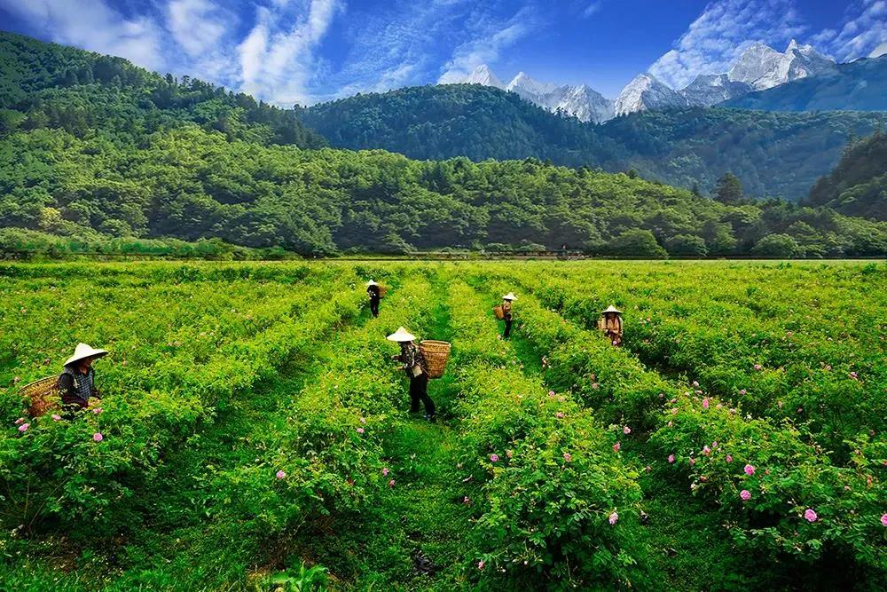 德阳周边旅游攻略,德阳五一周边游玩地方推荐