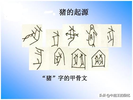 猪年的习俗有哪些,猪年是什么